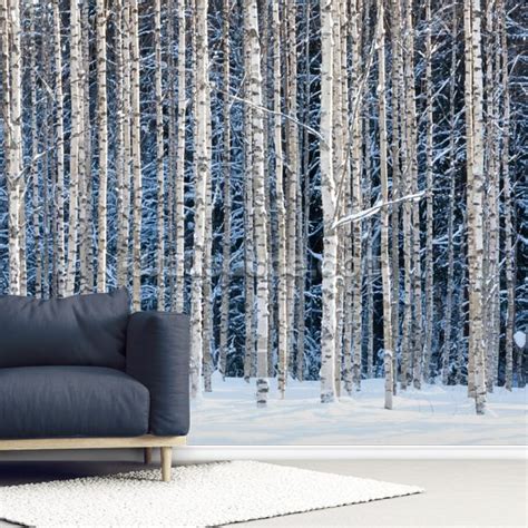 Snowy Birch Forest Wallpaper Mural | Wallsauce CA