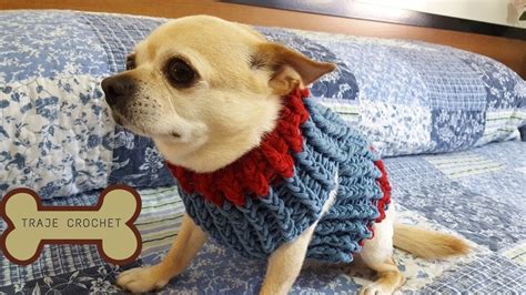 Traje De Perro A Crochet Youtube