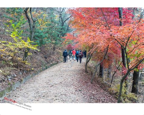 서울근교 경기도 등산 코스 김포 문수산 산림욕장 문수산성 등산로 산행 네이버 블로그