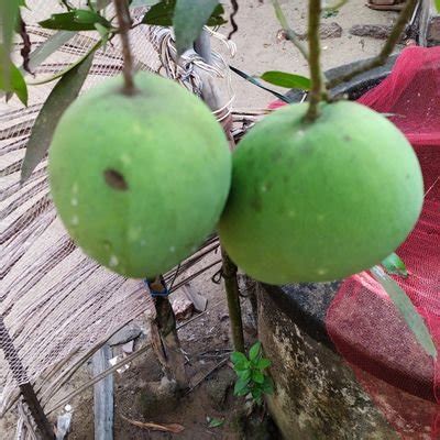 Resmi R Nair On Twitter Watch Goa Special Nude Series In Https T Co D1YRoyXLT1 Https T Co