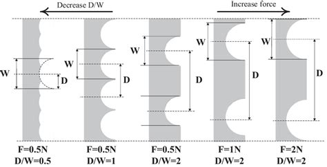 Diagram of cross-section of samples | Download Scientific Diagram