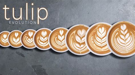 Latte Art Training Tulip Patterns Evolution Youtube