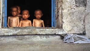 Famine and Poverty - North Korean Crisis