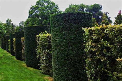 Les Jardins Du Manoir DEyrignac Jardin De Luchane