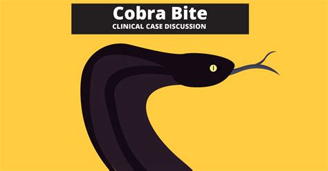 Cobra Bites – Clinical Case Discussion - Tiny Medicine