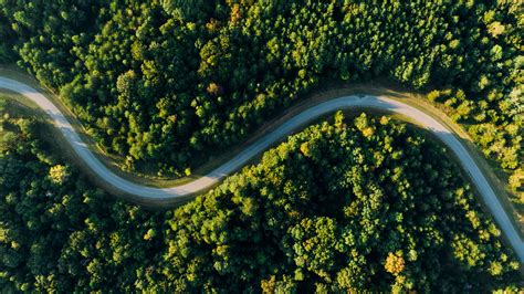 Aerial Photo of Empty Meandering Road In Between Forest · Free Stock Photo