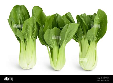 Fresh Pak Choi Cabbage Isolated On White Background With Full Depth Of