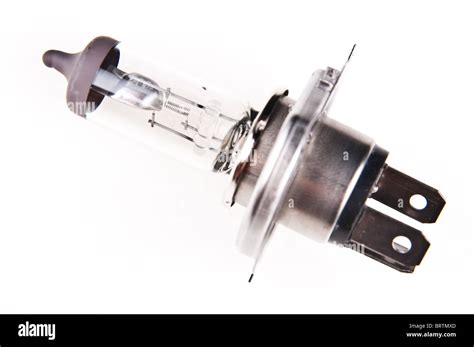 car halogen light bulb stock photo alamy
