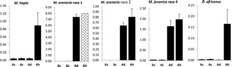 Genetic Mapping Of Resistance To Meloidogyne Arenaria In Arachis