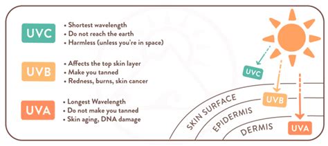 The Ultimate Guide To SPF UVA UVB Suntribe