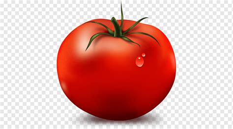 Tomate Png Pngwing