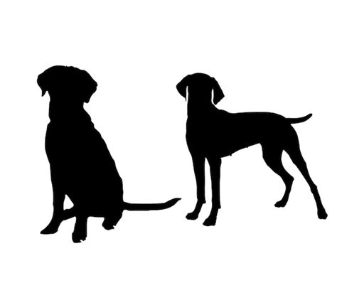 Hunde Silhouette Sammlung Silhouette Illustration Verschiedener Rassen