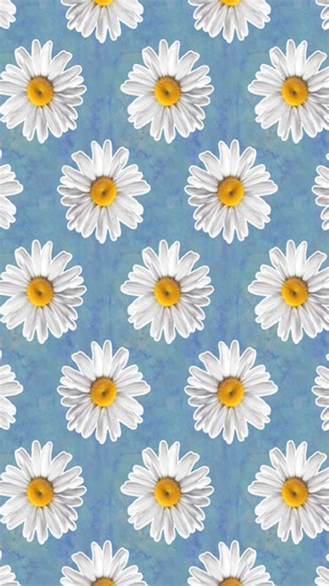 Daisy Aesthetic Wallpapers - Wallpaper Cave