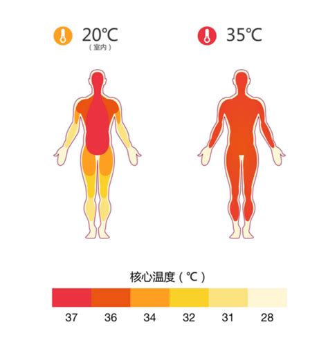 人体失温到底多可怕？从兴奋到出现幻觉、反常脱衣，最后微笑死去温度