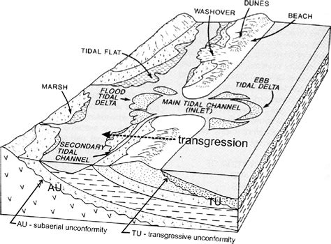 Conceptual Model Of Coastal Morphology And Facies Distribution With