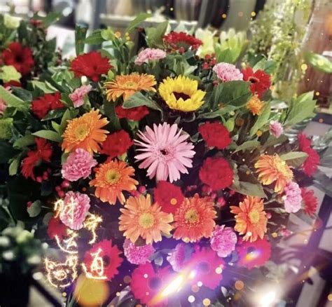 Gerbera Daisy Seedlings And Cultivation Techniques Explained