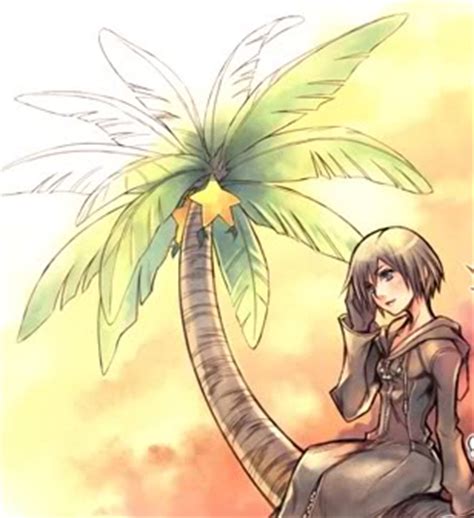 Xion Kingdom Hearts Fan Art Fanpop