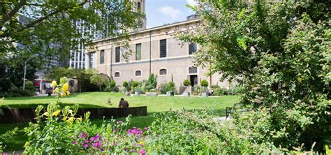 Churchyard Wins Gold In London In Bloom St Johns Waterloo