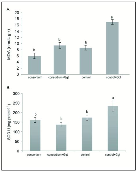 A Lipid Peroxidation Measured As Tbars Thiobarbituric Acid Reactive