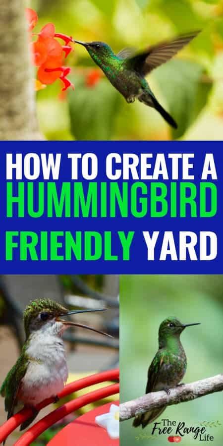 7 Proven Tips To Attract More Hummingbirds To Your Yard Artofit