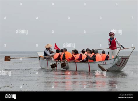 Lake Erhai, Tour To See Cormorant Fishing Stock Photo - Alamy