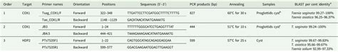 A Rare Case Of Human Taeniasis Caused By Taenia Saginata With Species