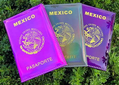 Mexico Passport Cover Vaccination Card Holder Chrome Hologram Passport