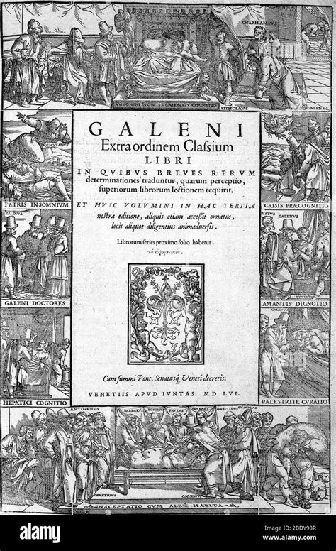 Galen Anatomy Hi Res Stock Photography And Images Alamy