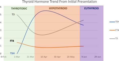 Thyroid Follicle An Overview ScienceDirect Topics, 43% OFF