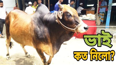 Bhai Koto Nilo Paragram Hazratpur Gorur Haat 2023 Ep 10 Qurbani