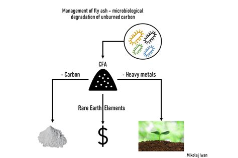 Mikrobiologiczne Zagospodarowanie Popiołów Lotnych Instytut Mikrobiologii Wydziału Biologii Uw