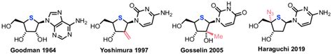 Historical And Current Examples Of Thionucleosides Blue Sulphur With