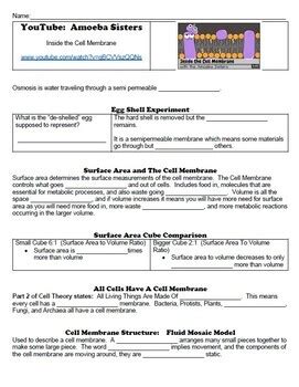 Student Handout for Amoeba Sisters: Inside the Cell Membrane | TPT