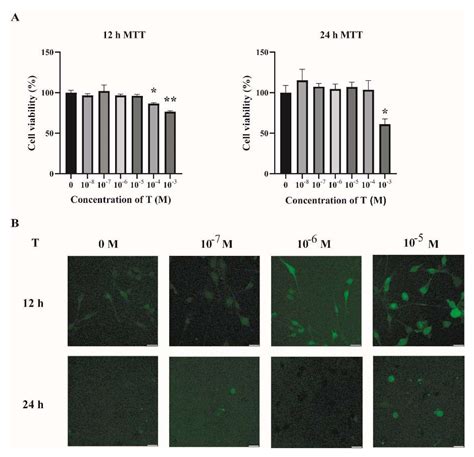 Ijms Free Full Text Oxidative Stress As A Contributor To Insulin