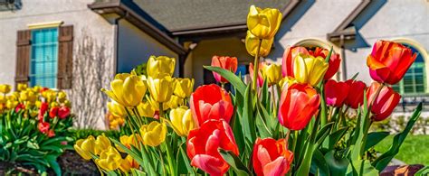 How To Get Your Hvac Systems Ready For Spring Spring Home