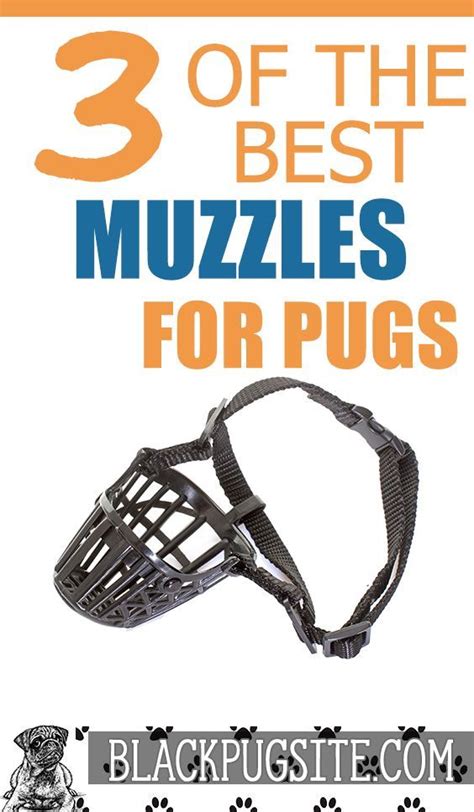 These dog muzzles are perfect for Pugs. Check out 3 of the best muzzles ...