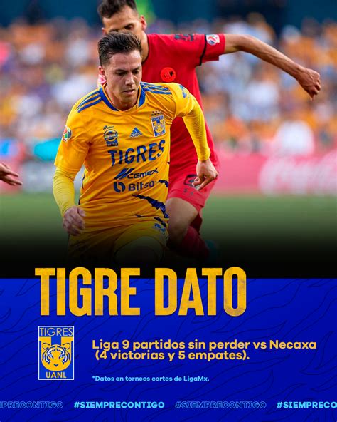 Club Tigres Oficial on Twitter TigreDatos Así llegamos a