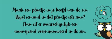 Alles Over Het Aanwijzend Voornaamwoord