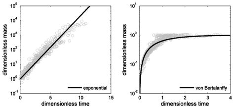 Universal Growth Curves Can Be Derived From The Exponential Growth