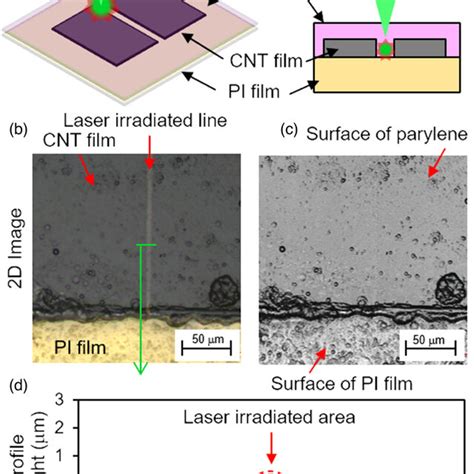 Color Online Selective Ablation Of The CNT Films Encapsulated By