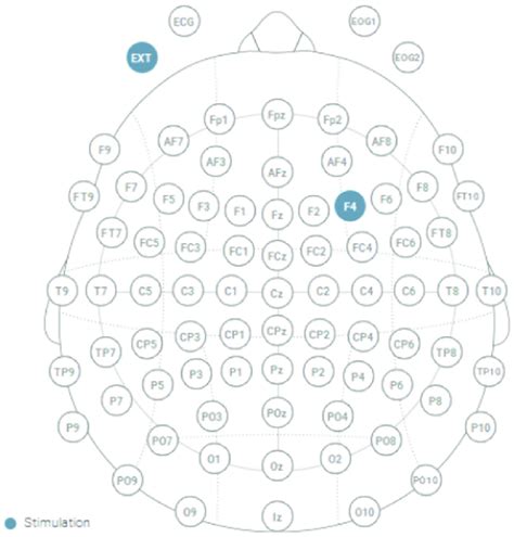 Montage Of Tdcs A Sponge Was Placed Over The Right Dlpfc F4 To Download Scientific Diagram