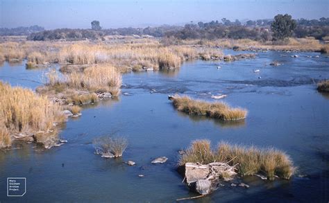 River Vaal Reeds View West From Parys Bridge Transvaal Cr Flickr