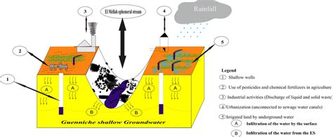 A Schematic Representation Of The Surface Water Groundwater