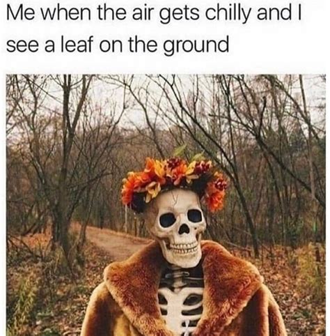 Funny Fall Memes For Anyone Who Has Pumpkin Spice In Their Veins | Halloween memes, Fall memes ...