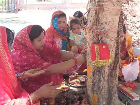 Vat Savitri Amavasya And Shani Jayanti Today वट सावित्री अमावस्या और