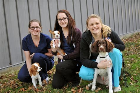 Mejores Universidades Para Estudiar Veterinaria En Alemania