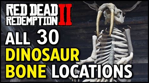 Red Dead Redemption 2 All Dinosaur Bones Locations Youtube