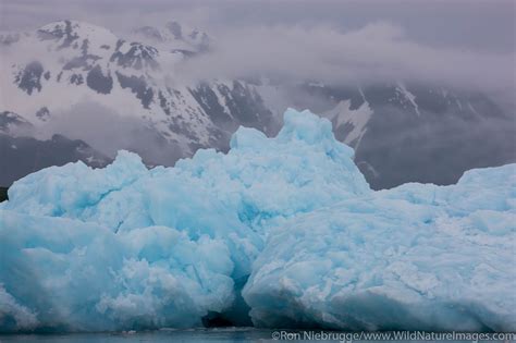 Aialik Glacier Photos By Ron Niebrugge