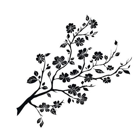 Twig Sakura Blossoms Vector Illustration Black Silhouette Cherry