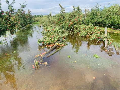 Recovering from Cyclone Gabrielle · Plant & Food Research